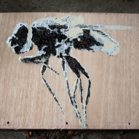 Fly Stencil