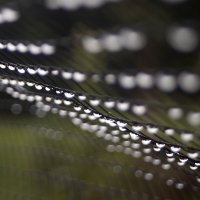 Water Grid