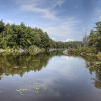 Guilder Pond