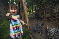 Cluck Cluck