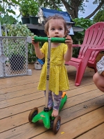 Little Scoot