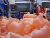 Living Piggy Lives