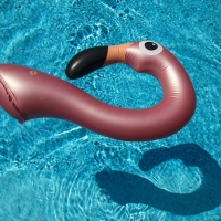 Flamingo Water