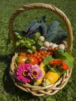 My Oh My What a Wonderful Day