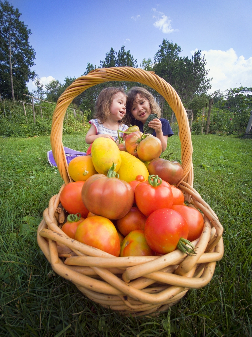 When Life Gives You Tomatoes...