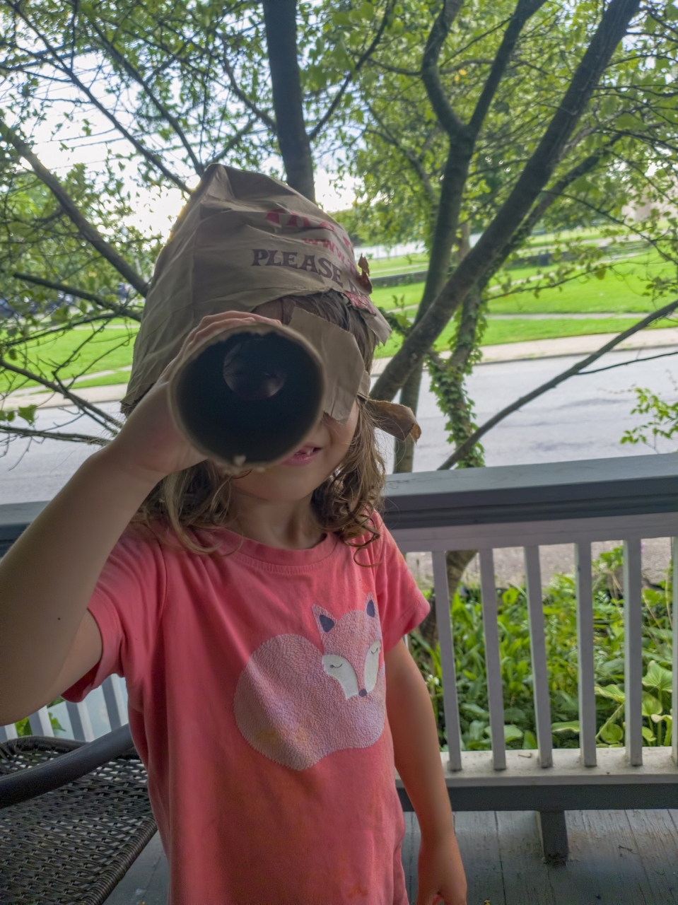 Porch Pirate