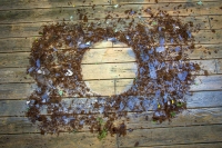 The Remains of the Table