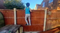 Nosey Parkour