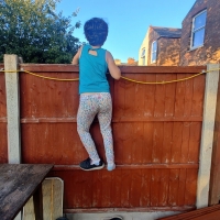 Nosey Parkour