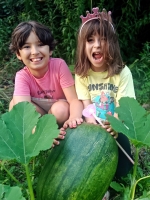 Pumpkin Patch Princesses
