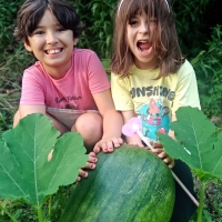 Pumpkin Patch Princesses