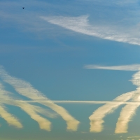 Crowded Sky
