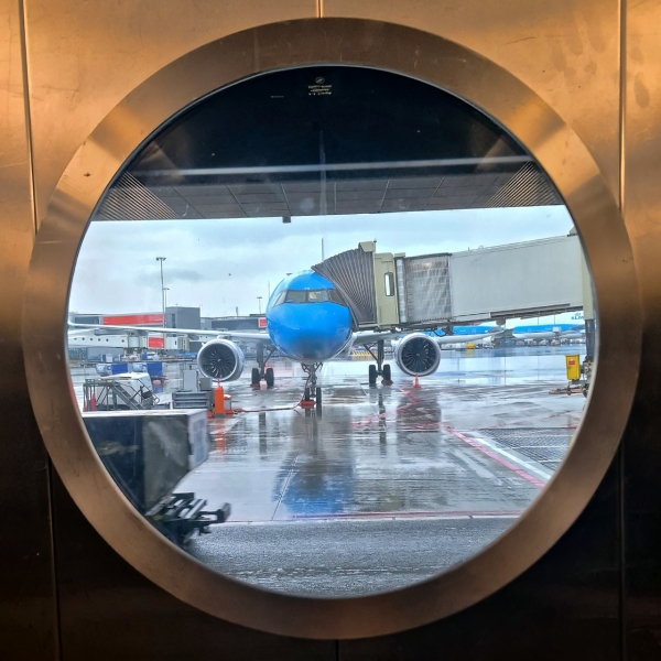 Homeward Bound