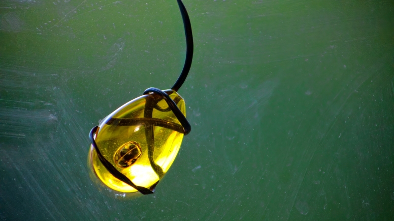 Pendant Prison
