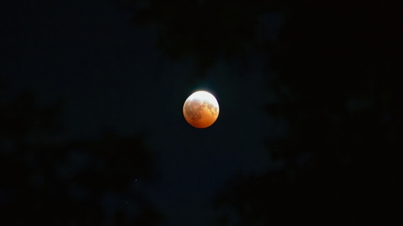 Eclipse Month Pt. II 