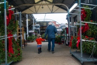Tree Shopping with Pop