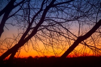 Coucher du Soleil