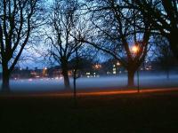 Misty Evening