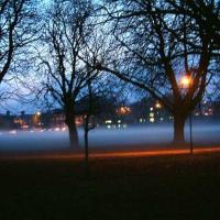 Misty Evening