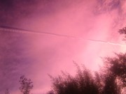 Pink Sky