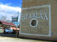 Grin Bear It