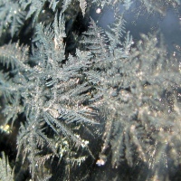 Love the Crystals