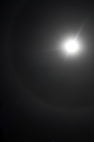 Moon Rings