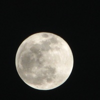 New Year Blue Moon