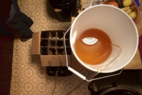 Cider Day