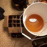 Cider Day