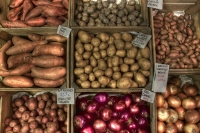 Potato of the Day