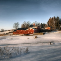 Winter Morning