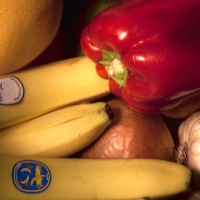 Fruit & Veg