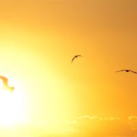 Sunrise