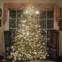 Many Lights