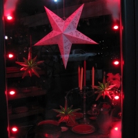 Rondout Window