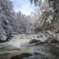 New Forge State Forest