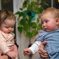 Working On the Fist Bump