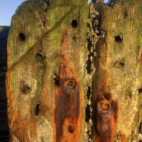 Weathered Wood