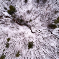 Snowy Features