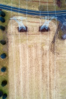 The Fields Have Eyes