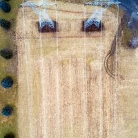 The Fields Have Eyes