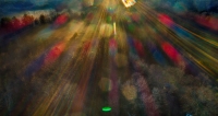 Light Forms