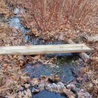 Green Trail Bridge