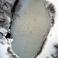 Pond Pattern