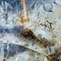 Ice Art