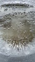 Bubbling Ice