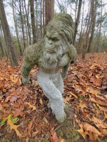 Trail Cam Capture