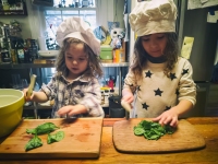 Food Fairies