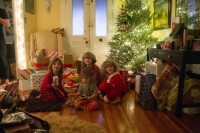 Under Starter's Orders